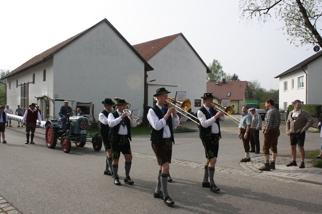 Maibaum 2013